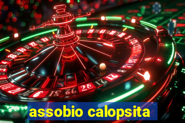 assobio calopsita